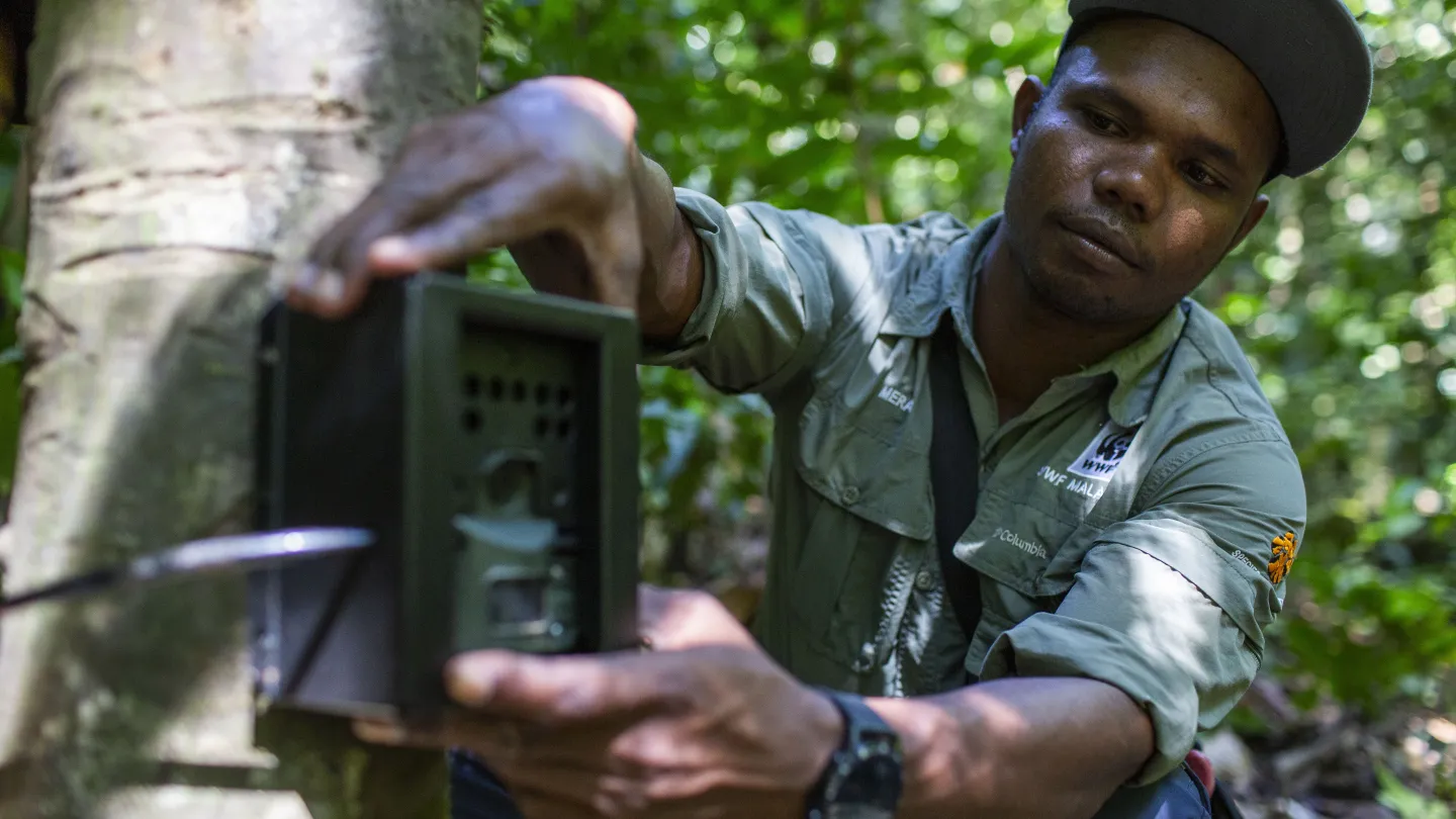 Kamerafall wird installiert in Malaysia