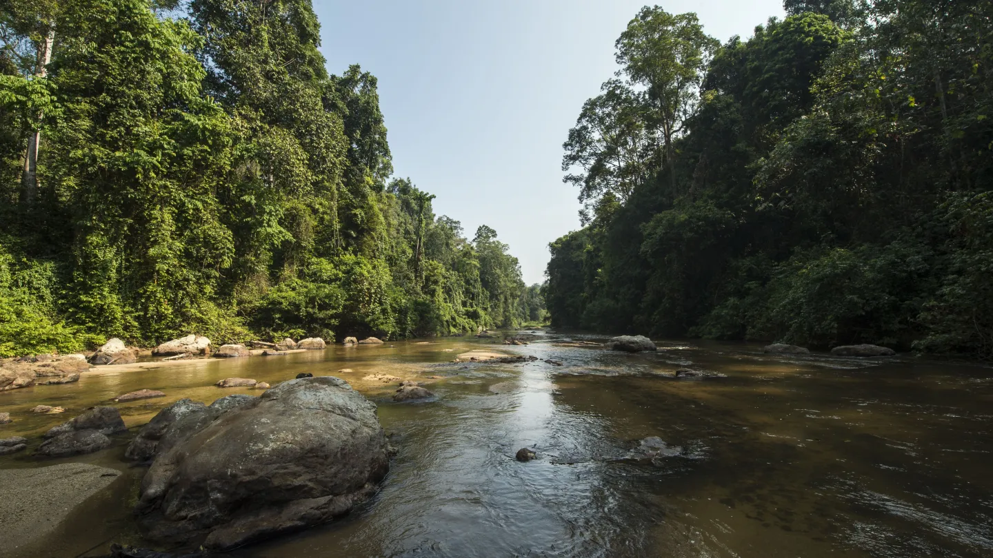 Ein Fluss durch die Wälder von Ulu Muda in Malaysia