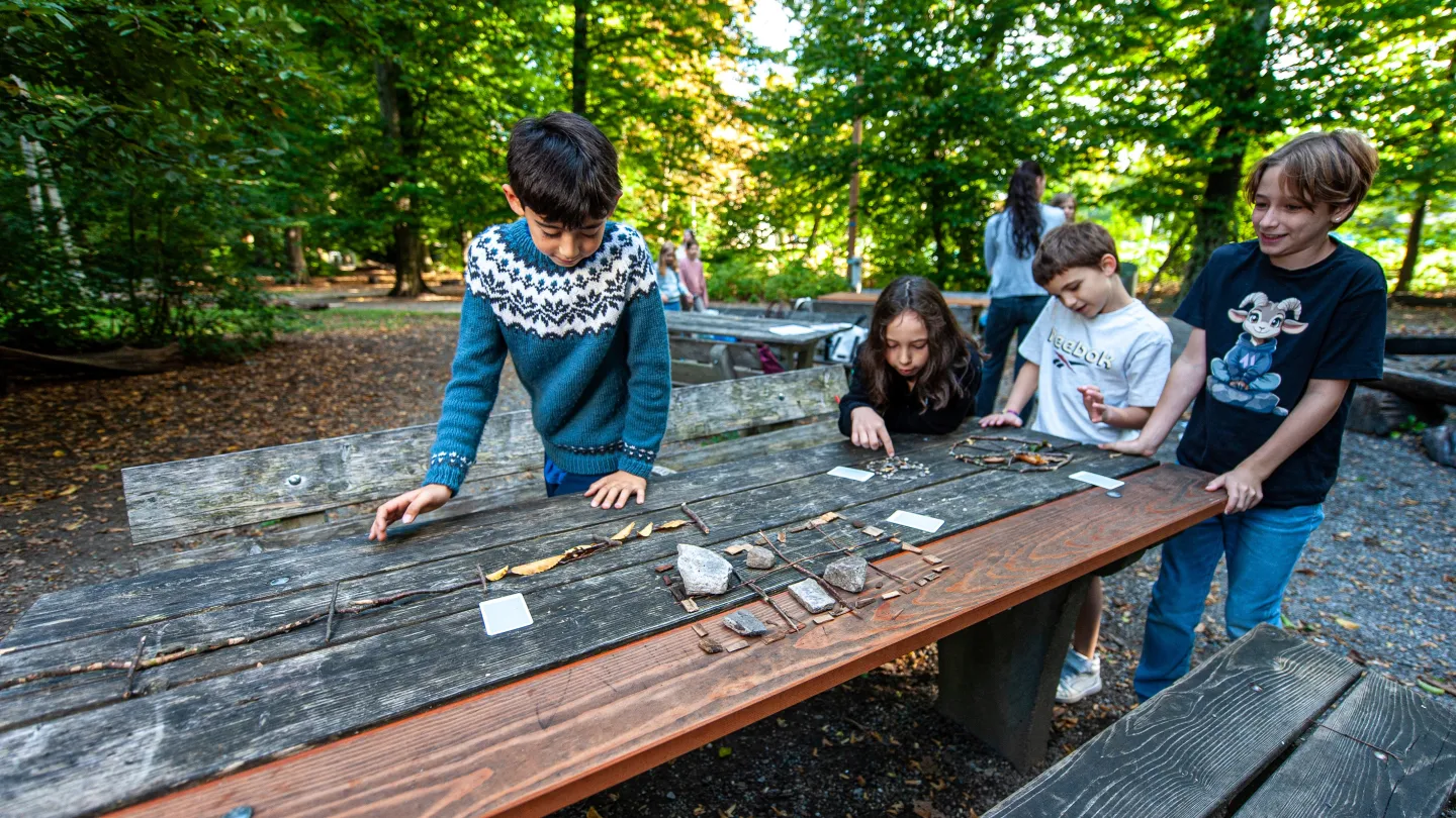 Draussen unterrichten - vier Kinder lösen eine Aufgabe im Wald