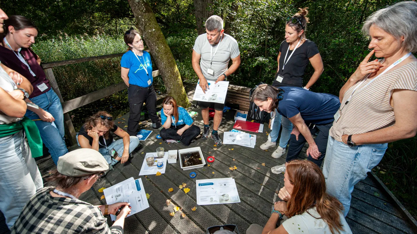 Lehrpersonen am Tümpel