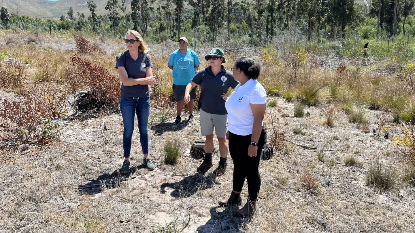 people standing in fynbos habitat south africa