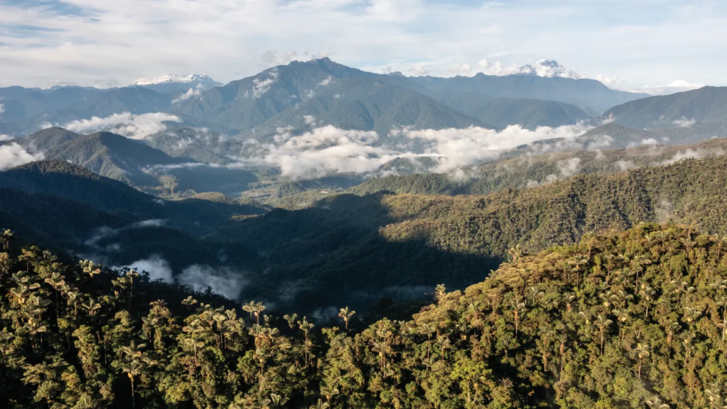 Hügelige bewaldete Landschaft in Ecuador