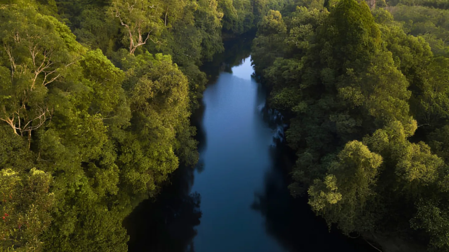Wald Myanmar
