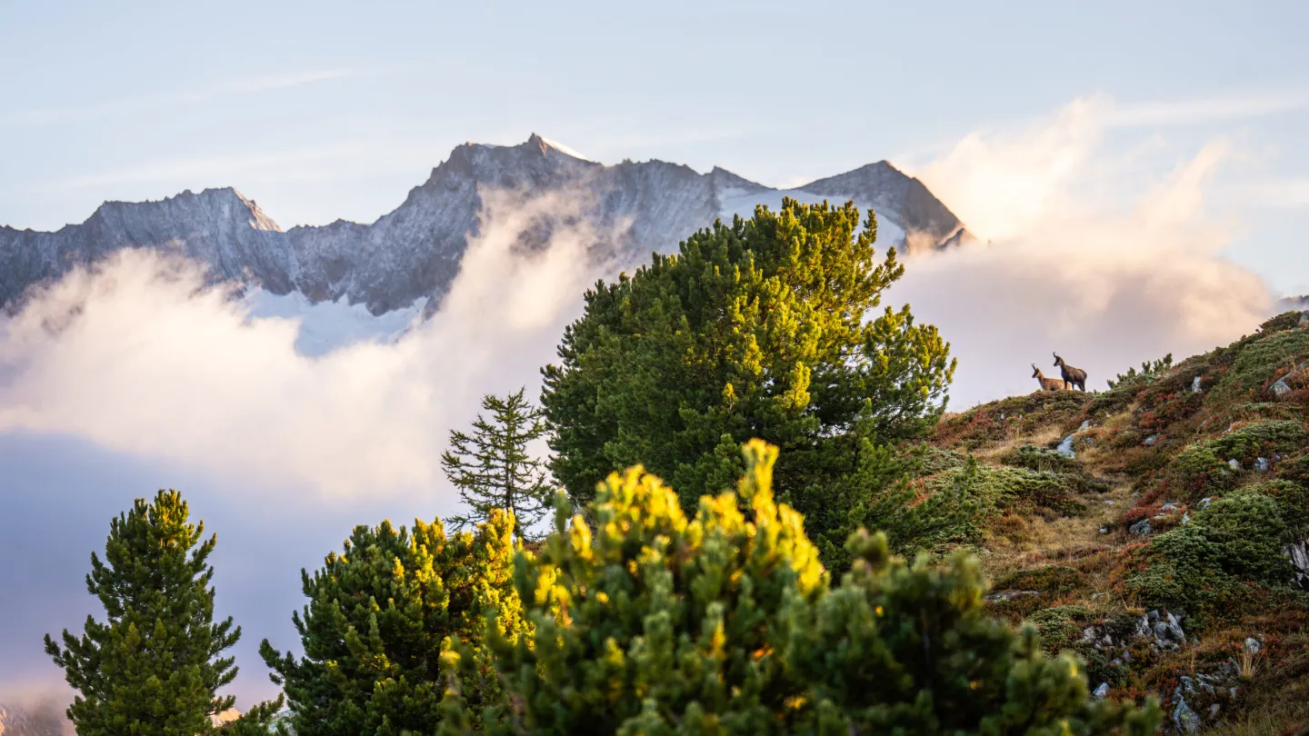 alps