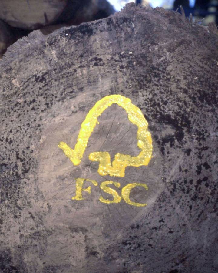 Des troncs d'arbres avec timbre FSC