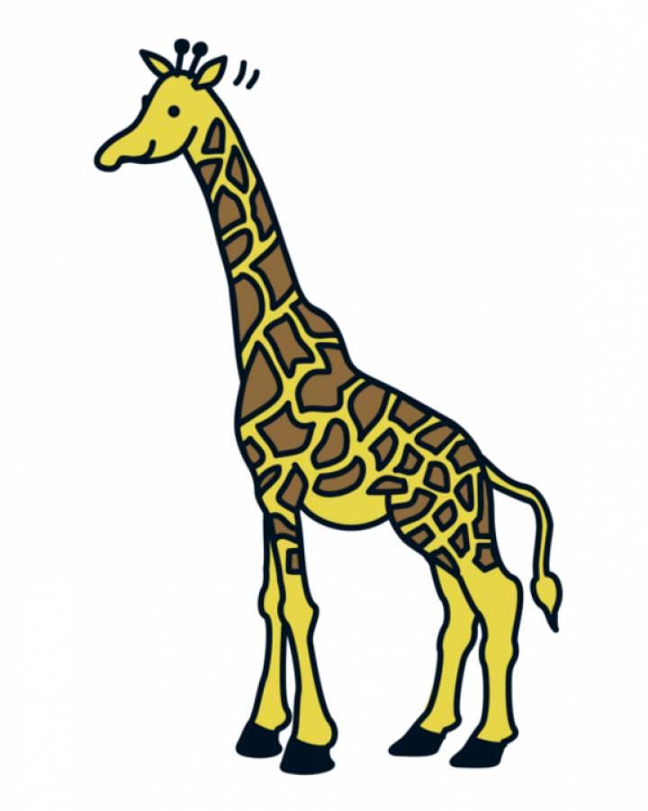 LiLu-Panda-Illustration Giraffe