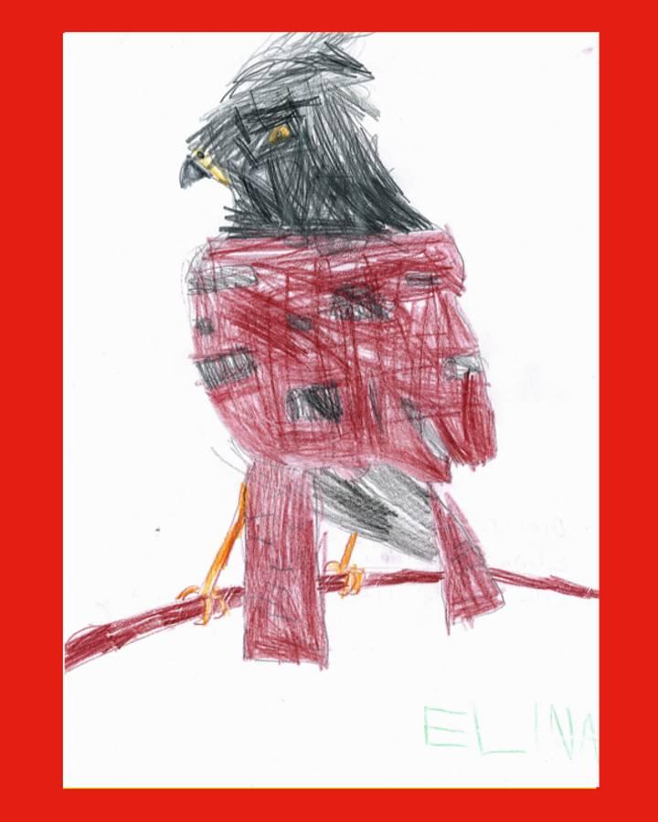 LiLu-Panda-Zeichnung Elina, 5 Jahre