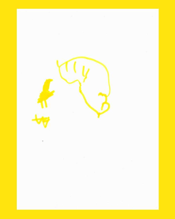 LiLu-Panda-Zeichnung Henry, 7 Jahre