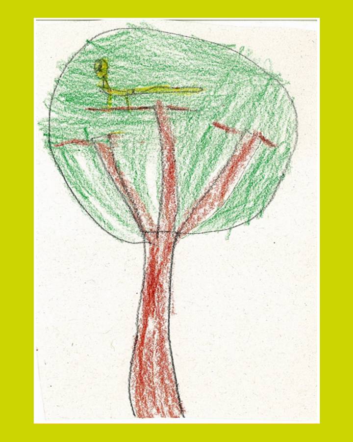 LiLu-Panda-Zeichnung Timon, 7 Jahre