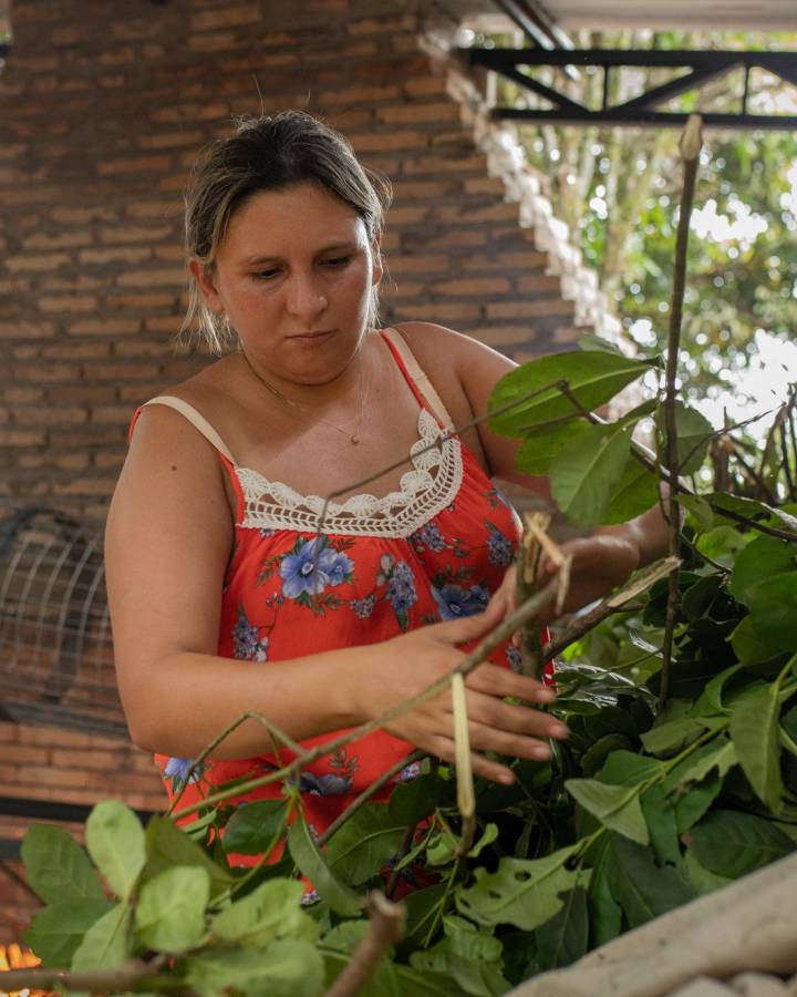 Frauen-Cooperative bei der Mate-Ernte in Paraguay