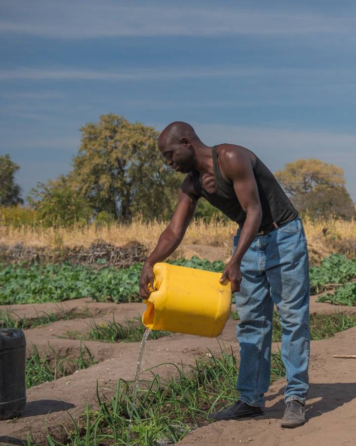 Farmer in Sambia, der sein Feld pflegt