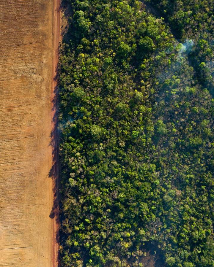 Luftaufnahme eines abgeernteten Kornfeldes mit angrenzendem Wald