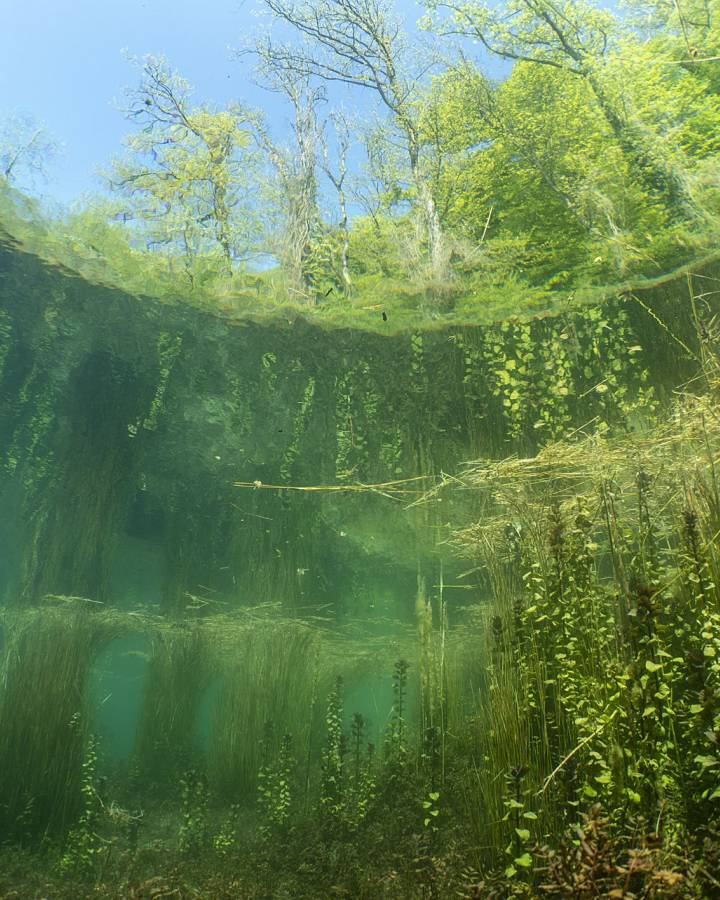 Unterwasser Aufnahme eines Flusses