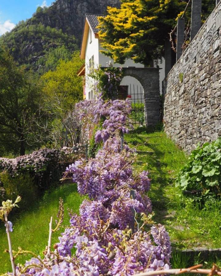 Das Haus des Ehepaars Petracca