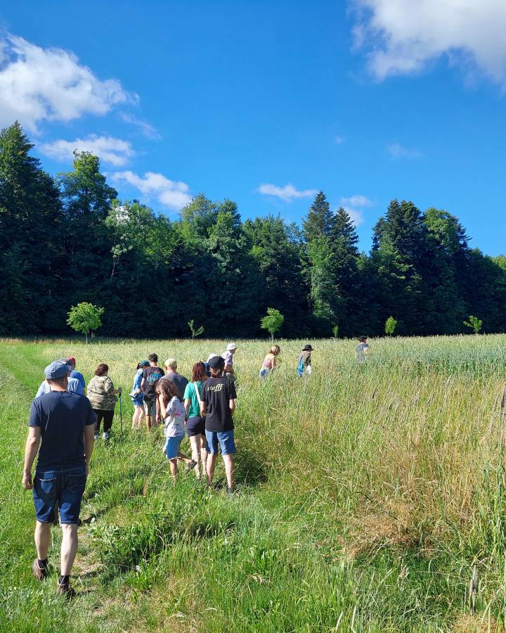 Eine Gruppe von Menschen bei einem Ausflug in einer sommerlichen Landschaft